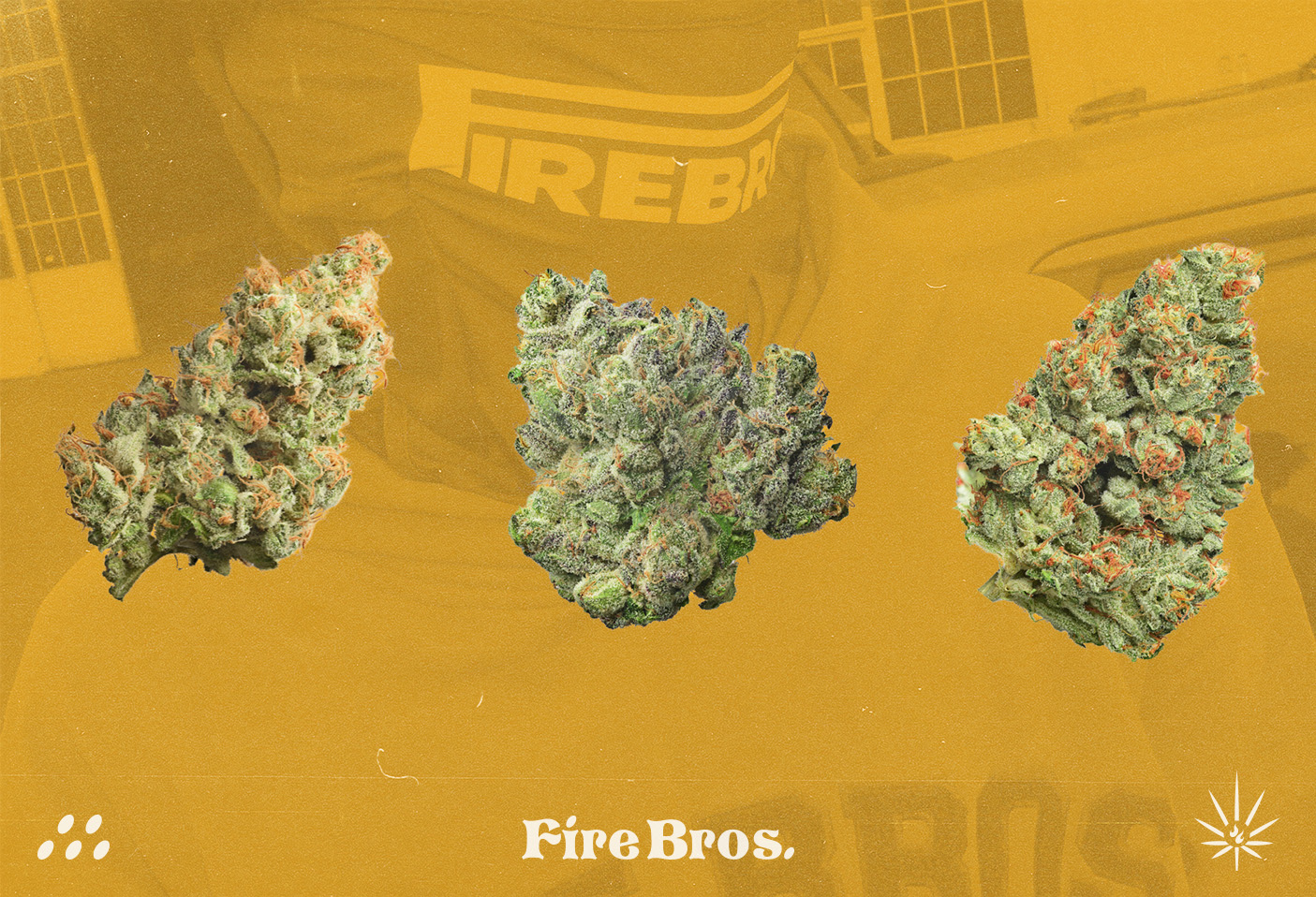 11-firebros-bros-fire-seattle-weed-balze-herb-206-branding-logo-vacaliebres-joint-blunt